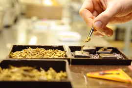 “Phát hoảng” với socola trộn côn trùng 