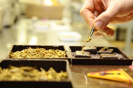 “Phát hoảng” với socola trộn côn trùng 