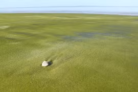 Ngắm những bãi biển màu sắc "1-0-2" trên thế giới