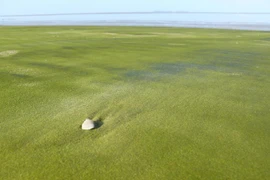 Ngắm những bãi biển màu sắc "1-0-2" trên thế giới