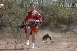 Mặc kimono chạy “trối chết” khỏi rồng Komodo khổng lồ