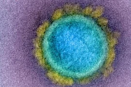 Phát hiện biến thể COVID-19 mới với đột biến nguy hiểm