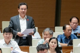 ĐBQH: Tránh tình trạng cứ xin đất làm đô thị, sau không có hạ tầng