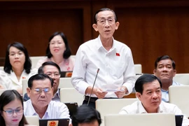 ĐBQH: Không vì chi phí mà thiếu tập trung an toàn đường sắt tốc độ cao