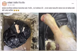 Làm rõ việc quán ăn dùng vịt có giòi, để cạnh bồn cầu