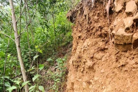 Núi nứt dài 60m, Quảng Ngãi công bố tình huống khẩn cấp 