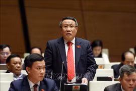 ĐBQH: Sửa Luật Đất đai cần mở đường cho nguồn cung nhà ở