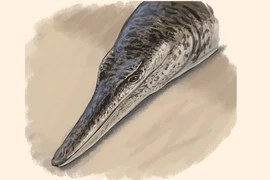 Quái vật biển 140 triệu tuổi ở Đức hiện hình, các chuyên gia bối rối