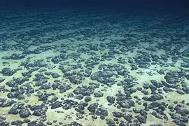 Lần đầu tiên phát hiện ra 'oxy đen' dưới biển sâu