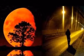 Tháng cô hồn cận kề, cần kiêng kỵ điều gì để tránh xui xẻo?