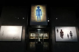 Đào móng xây tuyến tàu điện, phát hiện mộ cổ chứa 'kho báu' khủng