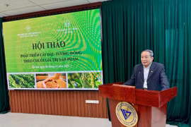 Phát triển cây đậu tương đông theo chuỗi giá trị sản phẩm