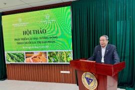 Phát triển cây đậu tương đông theo chuỗi giá trị sản phẩm