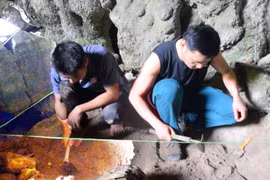 10 sự kiện Khoa học và công nghệ ấn tượng nhất Việt Nam năm 2024