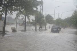 Top những cơn bão ám ảnh nhất lịch sử 20 năm tại Việt Nam