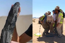 Tìm thấy chiếc rìu cầm tay thời tiền sử lớn nhất thế giới