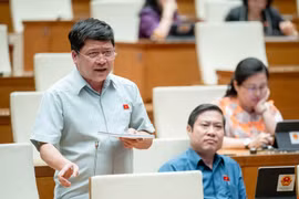 ĐBQH: Tăng lương 30% thì phải giảm trừ gia cảnh 30%