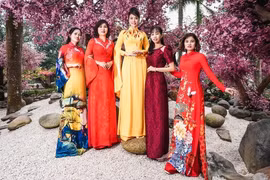 "Nàng thơ" rộn ràng chụp ảnh áo dài Tết giữa lòng thủ đô