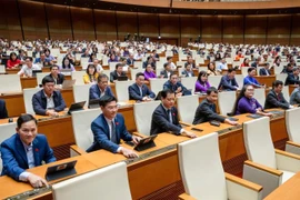 Thông qua Luật Điện lực: Chỉnh lý nhiều quy định về điện năng lượng tái tạo