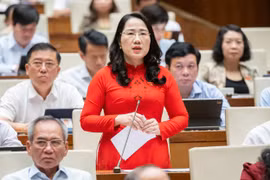 ĐBQH: “Thắt lưng buộc bụng” vẫn phải đóng thuế thu nhập cá nhân