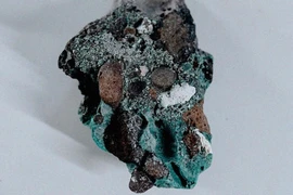 Phát hiện đá nhựa “kỳ quái” tại 5 châu lục và 11 quốc gia