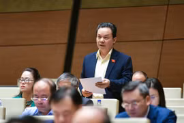 ĐBQH “hiến kế” kiểm soát giá bất động sản thôi “tạo sóng“