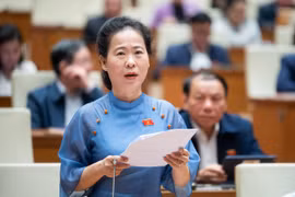 Nhất trí phân bổ hơn 2.526 tỷ đồng cấp điện lưới cho Côn Đảo