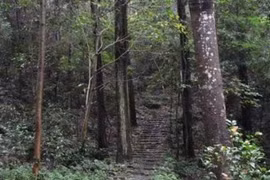 Sự thật về ngôi mộ nghìn năm được canh giữ bởi một con rắn lớn