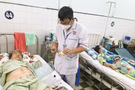 Khi bị vết thương hở có nên ăn cá?