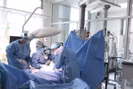 Chạy ECMO, lọc máu liên tục cứu sống trẻ 5 tuổi bị ong vò vẽ chích