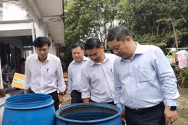 TP HCM ghi nhận 16 ca tử vong vì sốt xuất huyết