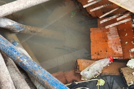 TPHCM gia tăng ca sốt xuất huyết nặng, nguy cơ dịch bùng phát