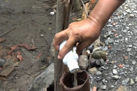 TP HCM: Thêm một ca tử vong vì sốt xuất huyết