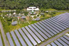 Việt Nam thí điểm mua điện trực tiếp từ nhà sản xuất điện tái tạo