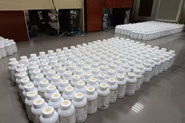 Giải pháp nào để chống thuốc giả?