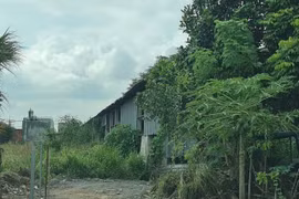 Hố Nai 3 (Trảng Bom – Đồng Nai): Nhà xưởng bỏ hoang nhiều năm vì sao công ty Hoa Nghi không bị thu hồi đất?