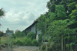 Hố Nai 3 (Trảng Bom – Đồng Nai): Nhà xưởng bỏ hoang nhiều năm vì sao công ty Hoa Nghi không bị thu hồi đất?