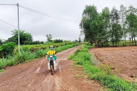 Xí phần hàng ngàn ha đất công rồi bỏ hoang, Dofico Đồng Nai xin được trả lại đất cho nhà nước?