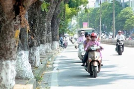 Dự báo thời tiết 2/4: Cuối tuần miền Bắc trở lạnh