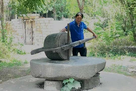 Đại gia Đồng Nai chi 160 triệu mua chiếc cối đá 2 tấn về ngắm