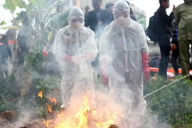 Ảnh: Diễn tập phòng chống cúm A/H7N9 ở Lạng Sơn