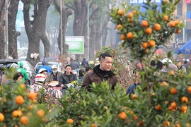 Chiều 29 Tết, hàng quất đào Tết "vừa bán vừa cho", dân ùn ùn mua