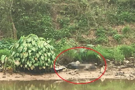 Hãi hùng phát hiện thi thể nam giới phân hủy mạnh trên sông Nhuệ