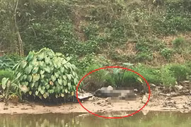 Hãi hùng phát hiện thi thể nam giới phân hủy mạnh trên sông Nhuệ