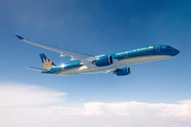 Va chạm ống lồng, máy bay Vietnam Airlines thủng vỏ động cơ 