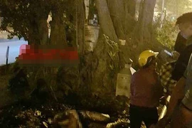 Bàng hoàng người đàn ông đổ xăng tự thiêu dưới gốc đa