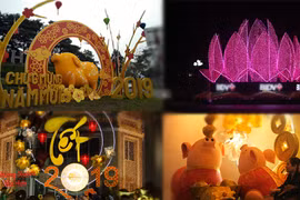 Ảnh: Phố phường Hà Nội lung linh rực rỡ đón Tết Nguyên đán Kỷ Hợi