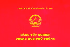 Bị tố dùng bằng giả, chủ tịch xã lại được giao tự đi xác minh