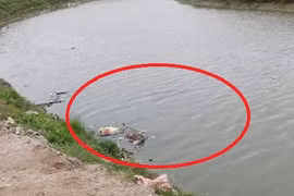 Thông tin mới nhất vụ thi thể bị trói tay trên sông