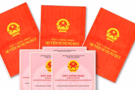 Những vấn đề xung quanh luật đất đai và luật lâm nghiệp